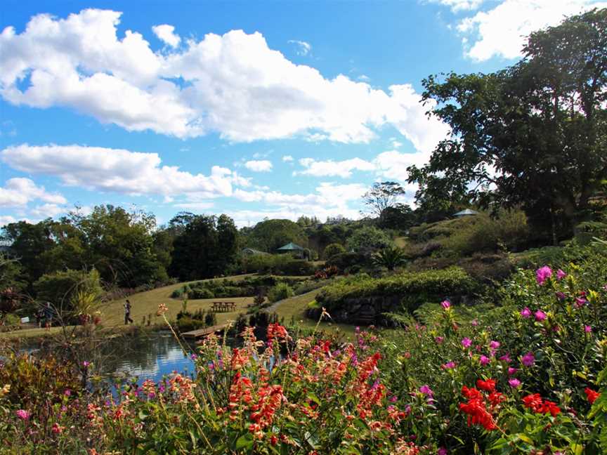 Maleny Botanic Gardens