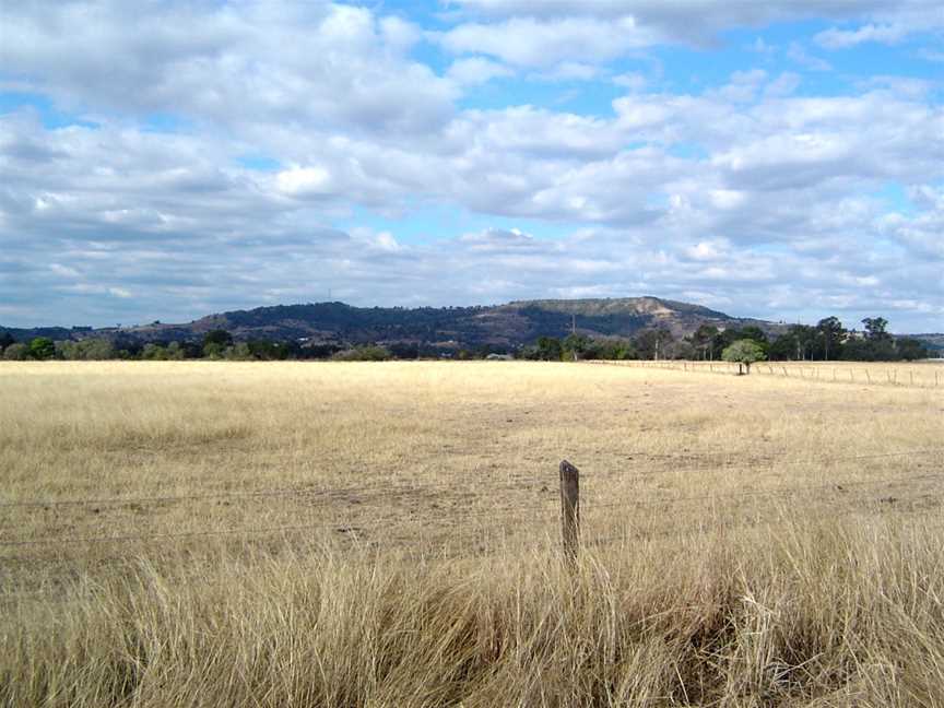 Mount Stradbroke and paddocks Coolana.jpg