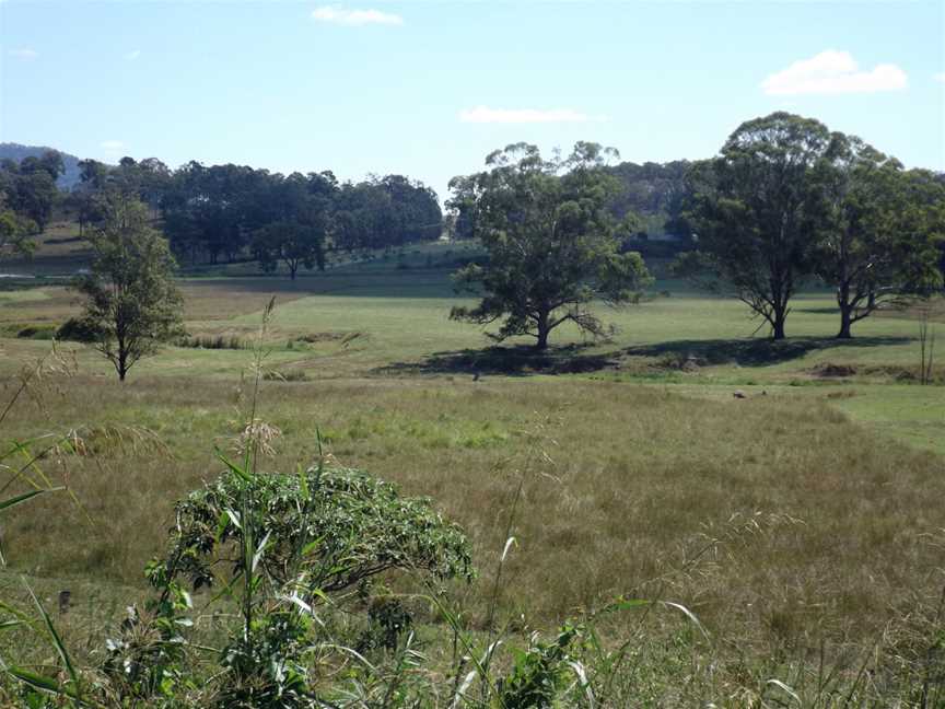 Paddocks along Beaudesert Boonah Road at Bromelton, Queensland.jpg