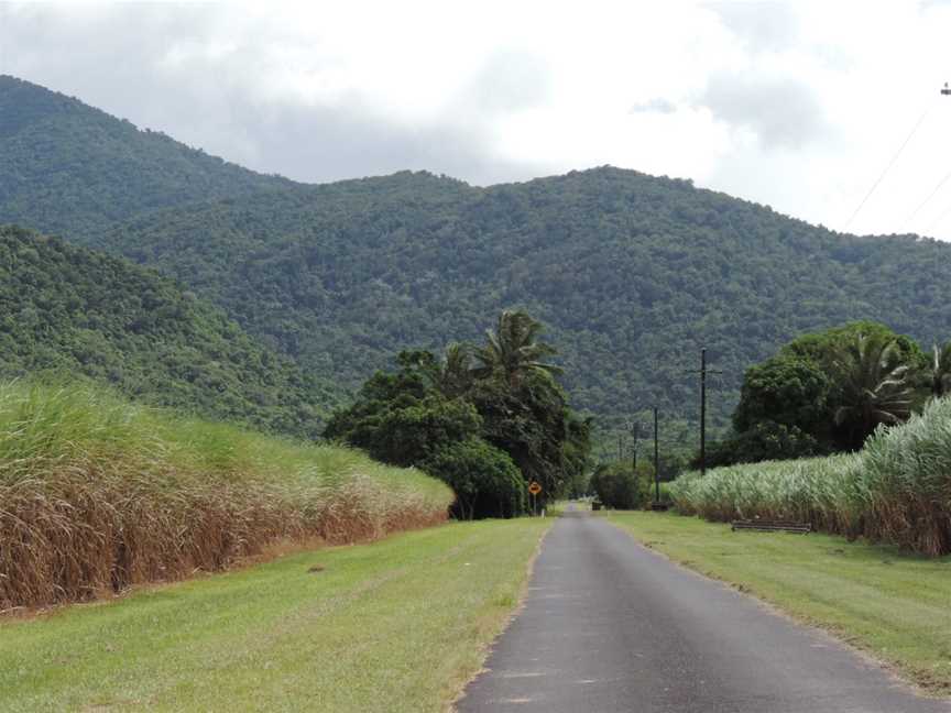 Sugar cane growing, looking west along Stewart Road towards the Bellenden Ker Range, Fishery Falls, 2018.jpg