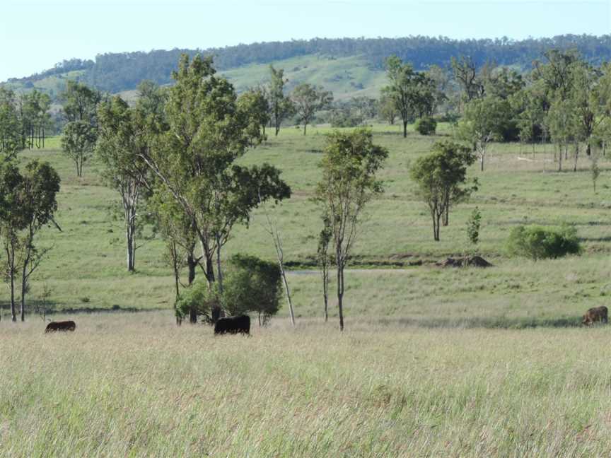 Rural landscape, Burnett Highway, Mundowran, 2014 02.jpg