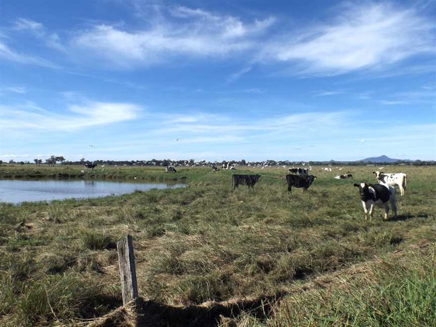 Paddocks along Kengoon Road Silverdale.jpg