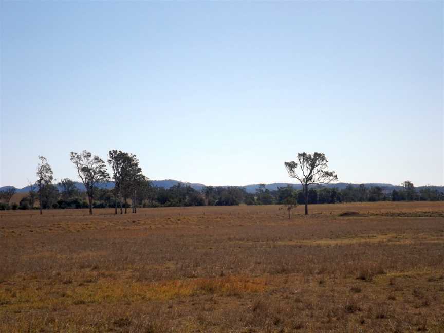 Paddocks Sheep Station Creek Queensland.jpg