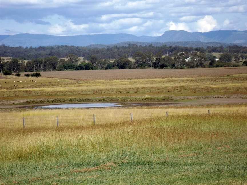 Fields in Tamrookum.jpg