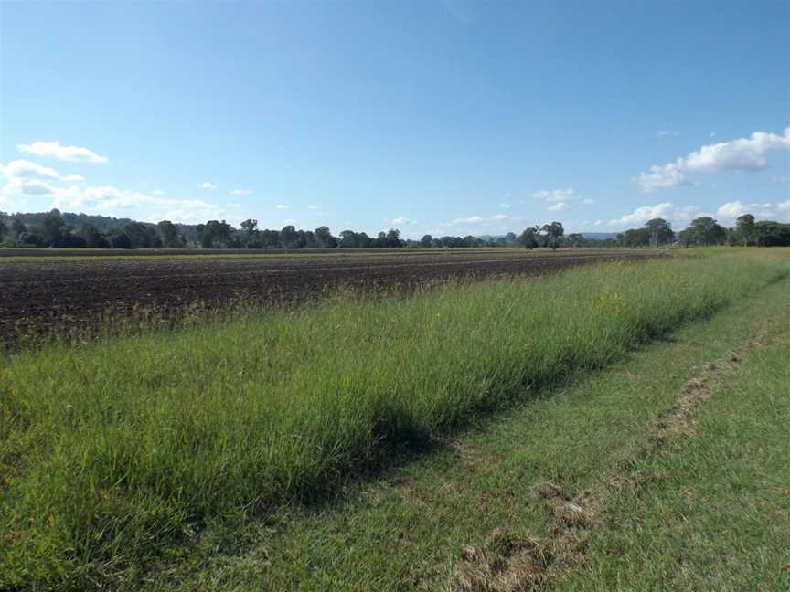 Fieldsat Innisplain CQueensland