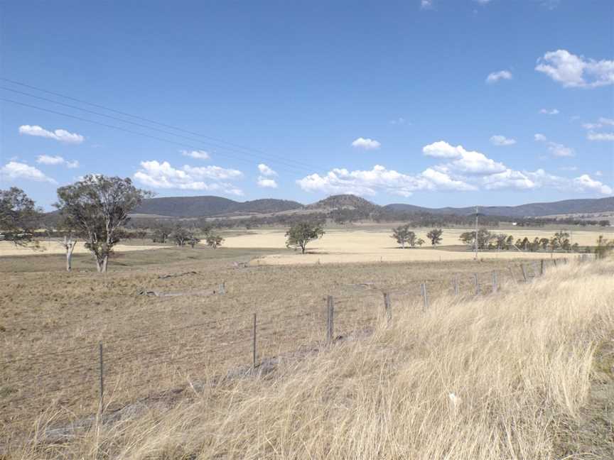 Fields at Hirstglen.jpg