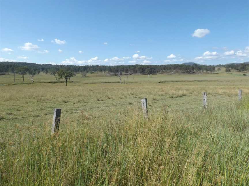 Fields at Oaky Creek, Queensland.jpg