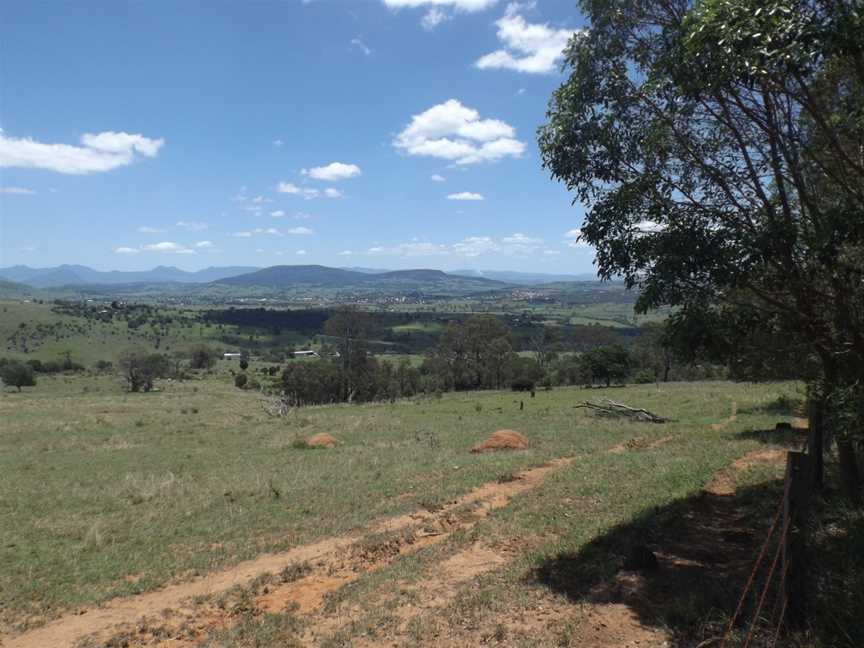 Paddocks at Allandale, Queensland.jpg