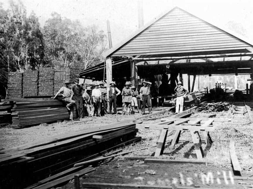 State Lib Qld148072 Daniels' Sawmillat Benobble CQueensland Cca.1918