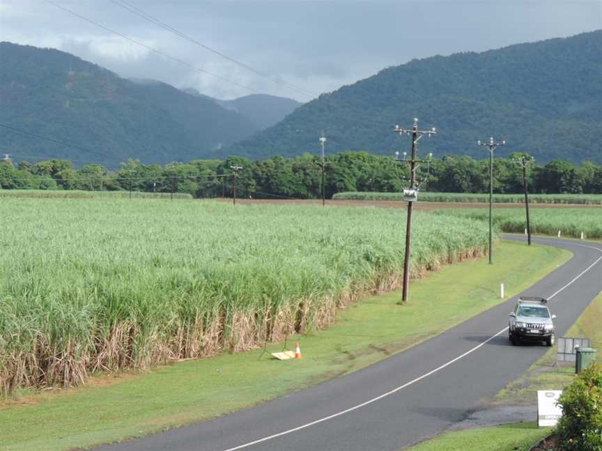 Sugar cane fields with mountains beyond, Lower Freshwater Road, Barron, Cairns, 2018 02.jpg