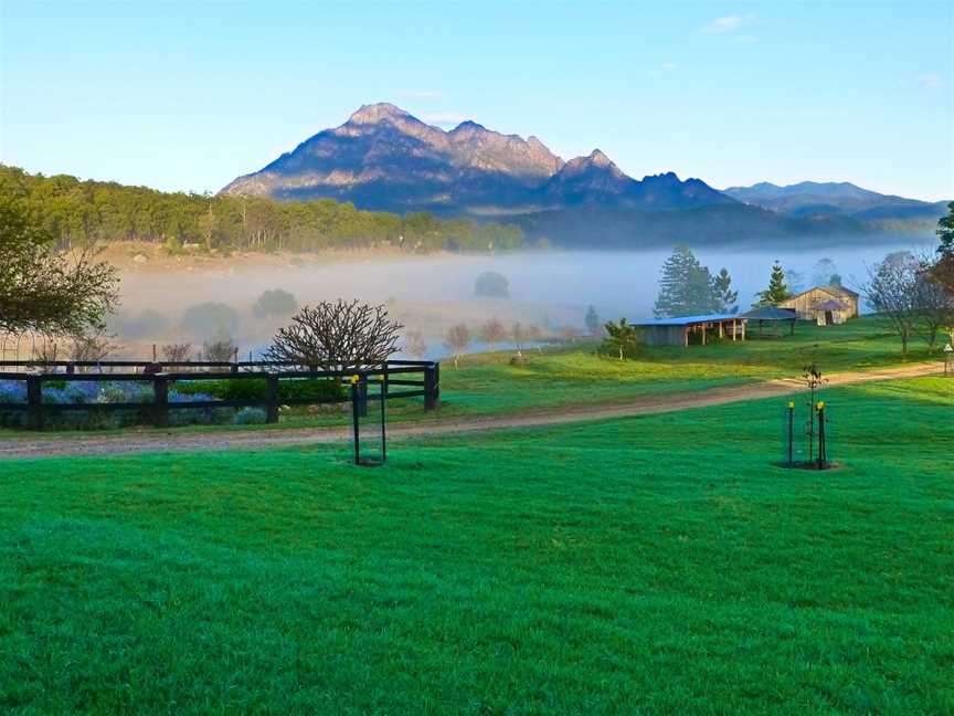 Mt Barney over the fog from Lillydale - panoramio.jpg