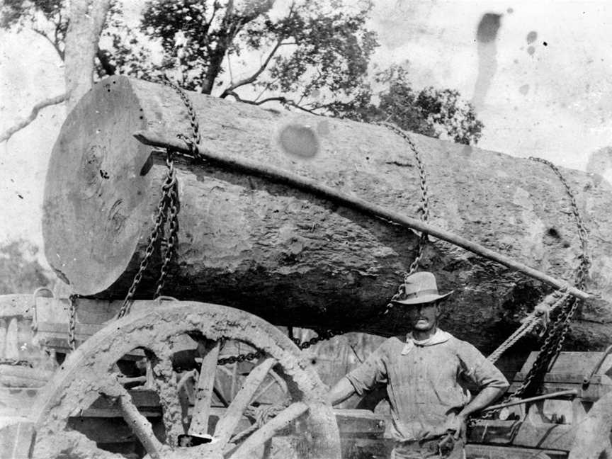 Timber cutter near a large log in the Barakula district.jpg