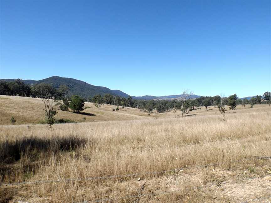 Paddocks Glenfern Queensland.jpg