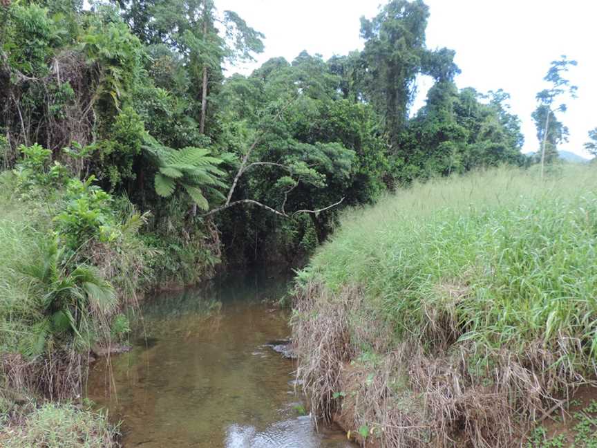 Canal Creek, flowing through Ngatjan to Waugh Pocket, 2018.jpg