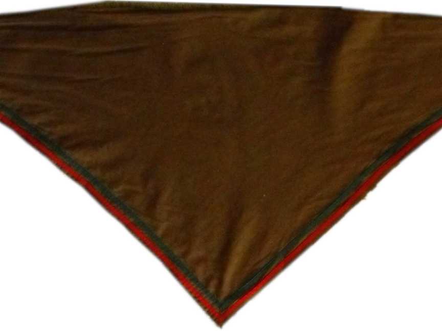 1st Cherrybrook Scout Group CNew South Walesneckerchief