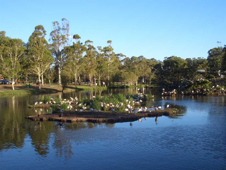 Georges Hall Lake Gillawarna 1.JPG