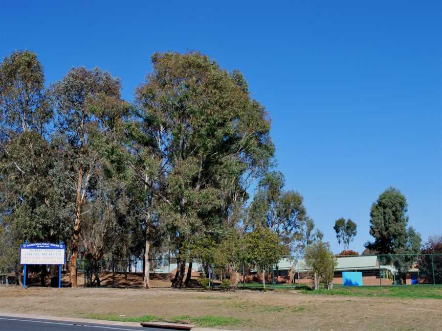 Thurgoona Public School