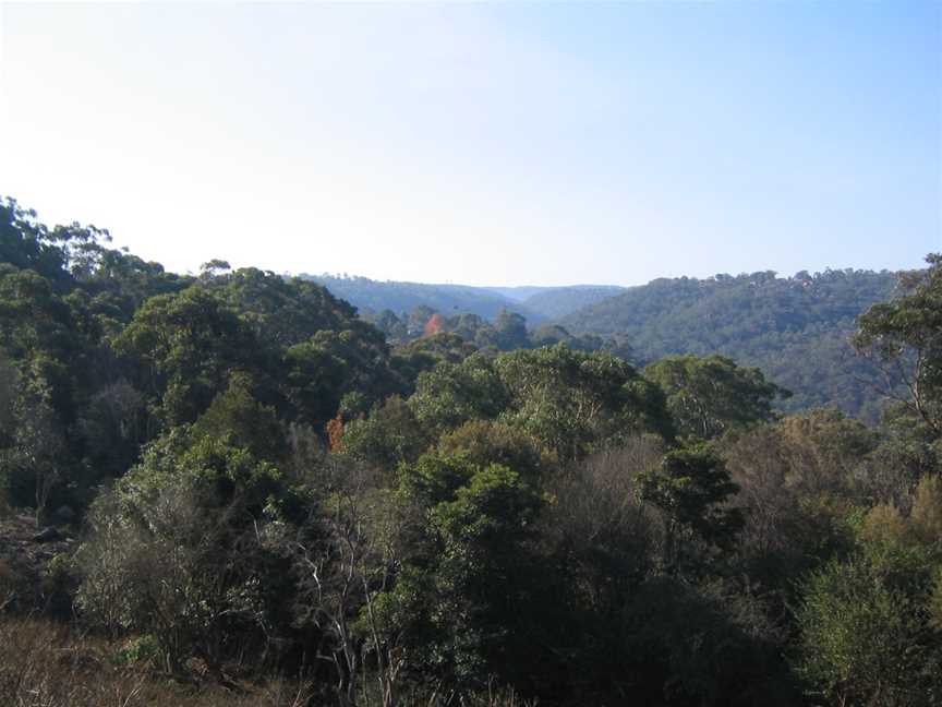 Hornsby Heights view from Rofe Park.jpg