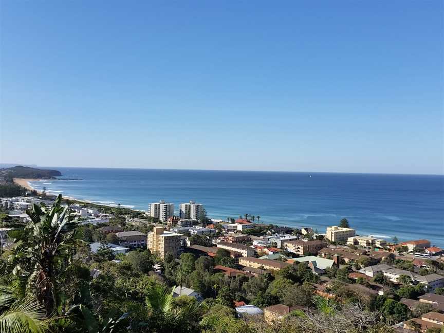 View Collaroy Plateau DW