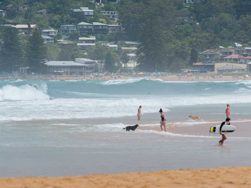 Avoca Beach CNew South Walesfacingsouthtowards Surf Club