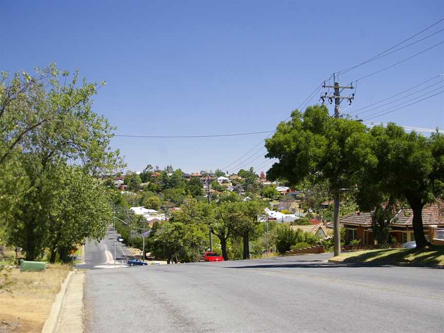 Macleay Street - Turvey Park.jpg