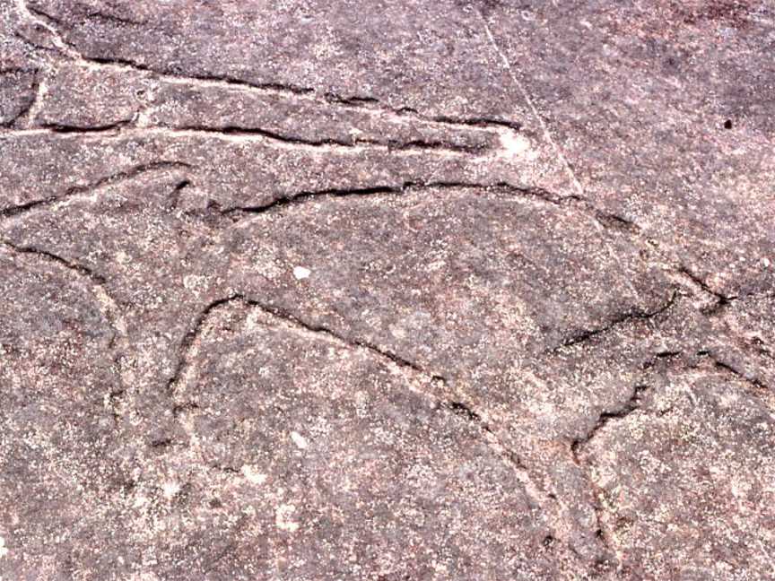 Aboriginalrockcarvings CTerrey Hills CNew South Wales CSydney Wiki0157