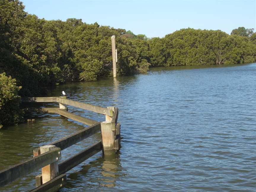 Melrose Park Parramatta River.JPG