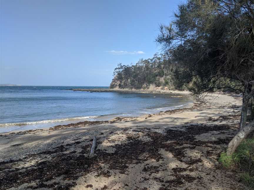 Sunshine Bay, New South Wales. looking south, 2020.jpg