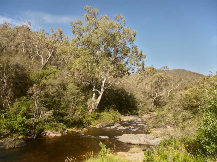 Jounama Creek Cnear Talbingo NS W