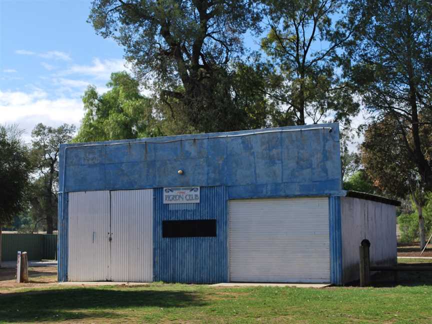 Brocklesby Pigeon Club1