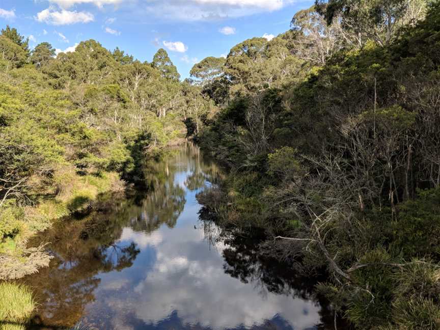 Mongarloweriverin Mongarlowe CNew South Wales