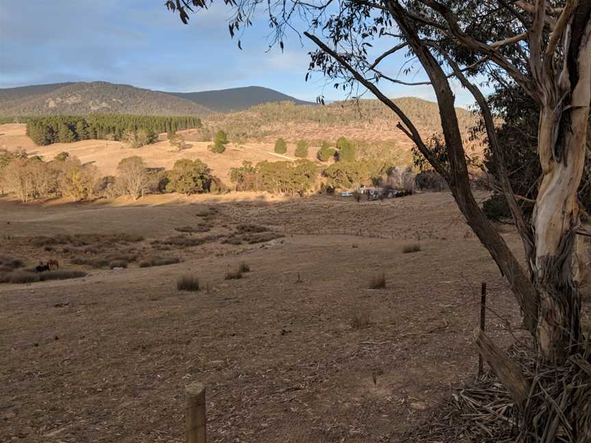 Anembo, New South Wales (May 2018).jpg