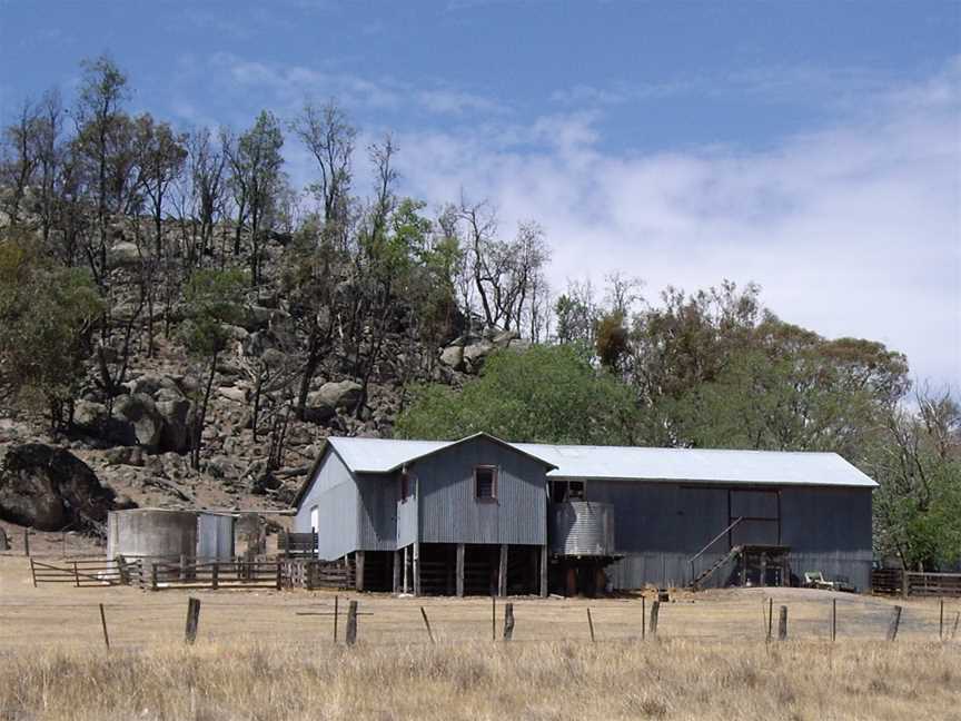 Kyeamba Shearing Shed