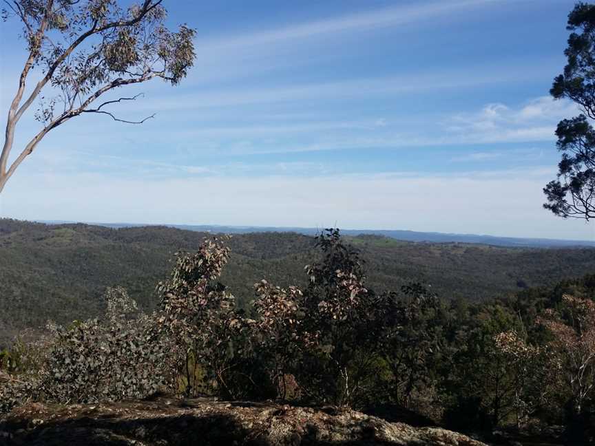 Mt Arthur Reserve View.jpg