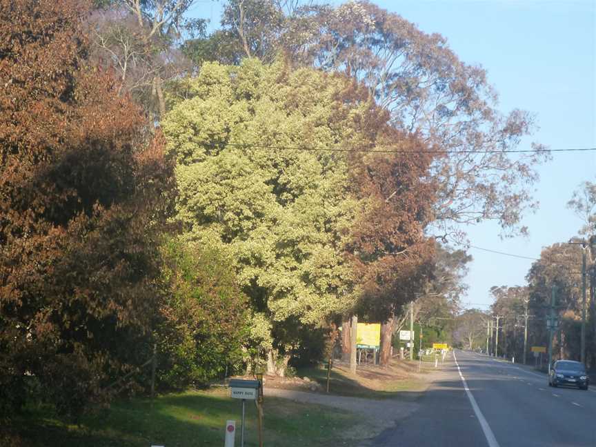 Burnttree Campvale0220131020