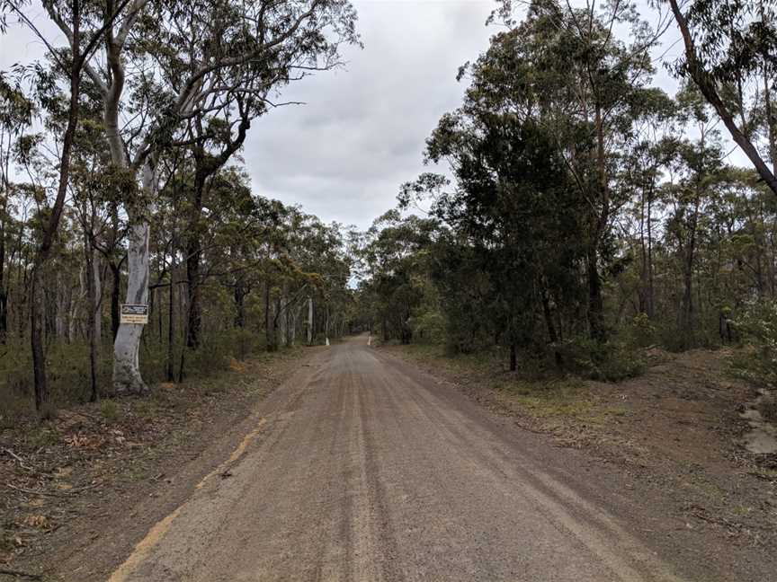 Road in Yerriyong, New South Wales.jpg