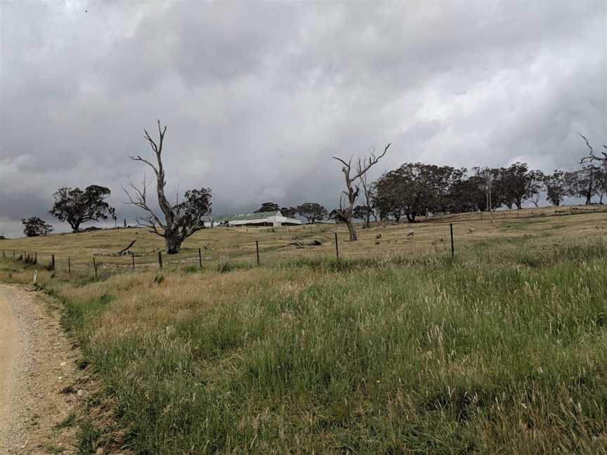 Lerida woolshed, Lerida, New South Wales.jpg