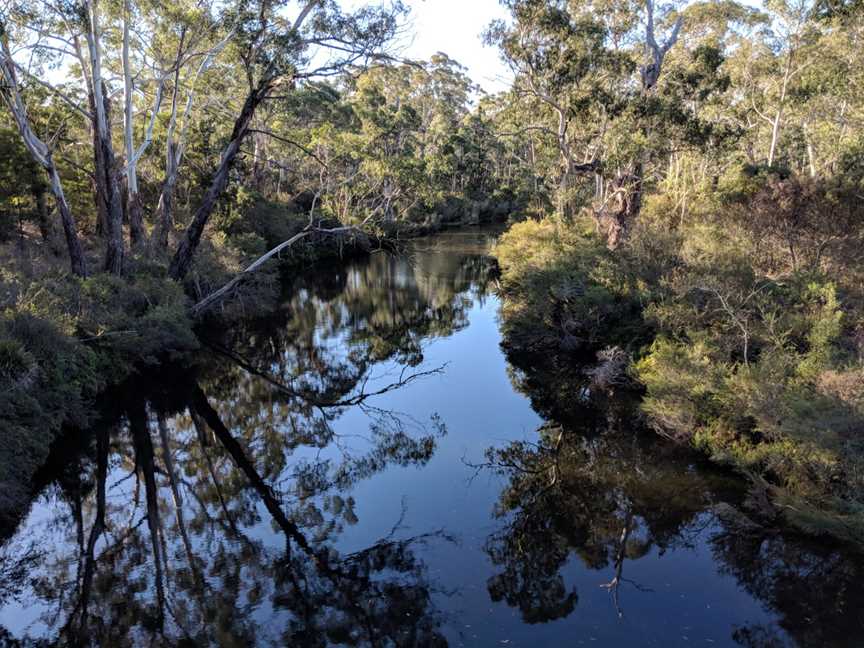 Corang River at Wog Wog looking west.jpg