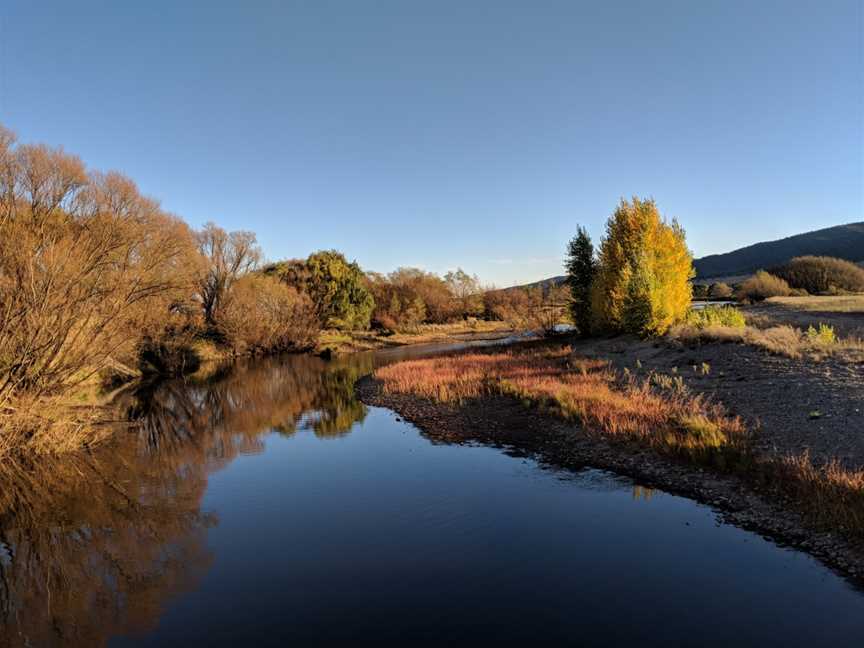 Murrumbidgee River at Billilingra, looking upstream.jpg