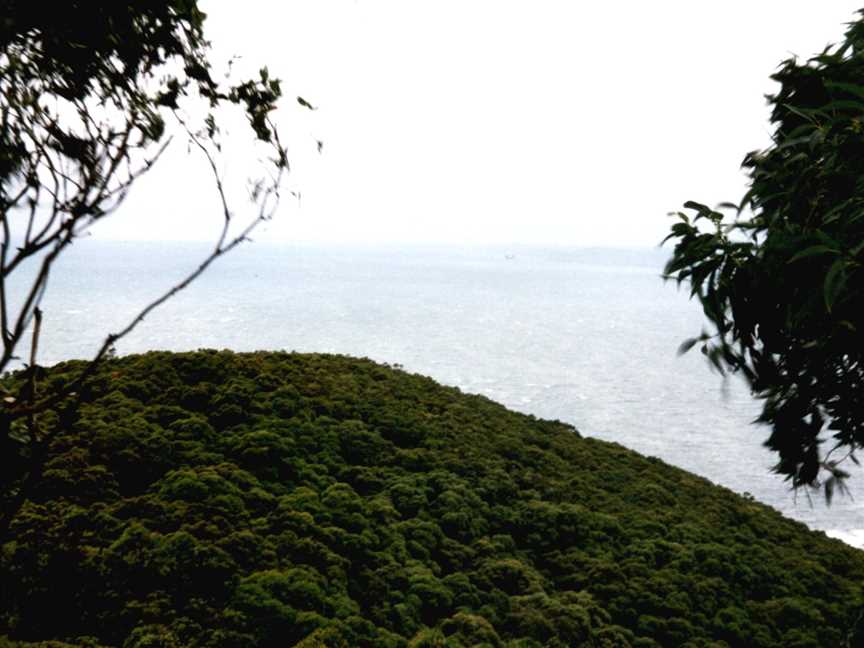 Bouddi NP.JPG