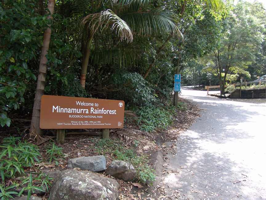 Minnamurra Rainforest