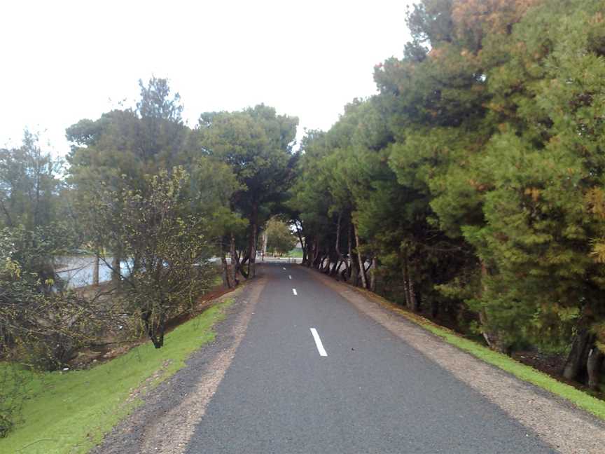 Willungamarinorailtrailinreynella