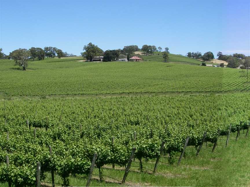 Lobethal Panorama