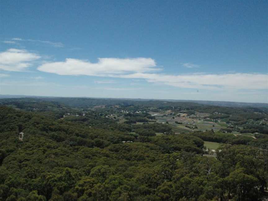 Piccadilly from mt lofty.jpg