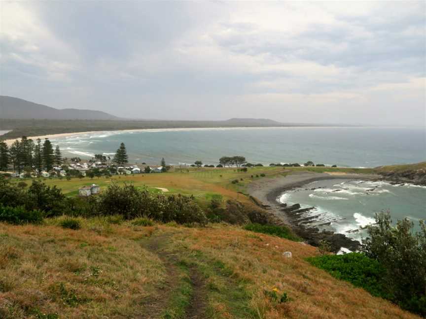 Cresent Head Overview