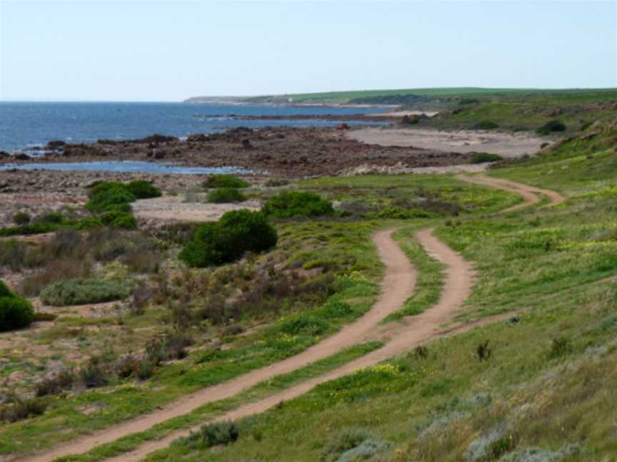 Northern Coppercoastaltrack