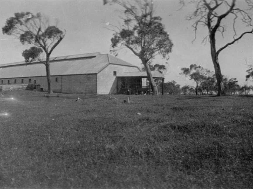 Coola Wool Shed - State Library of South Australia B 3393.jpg