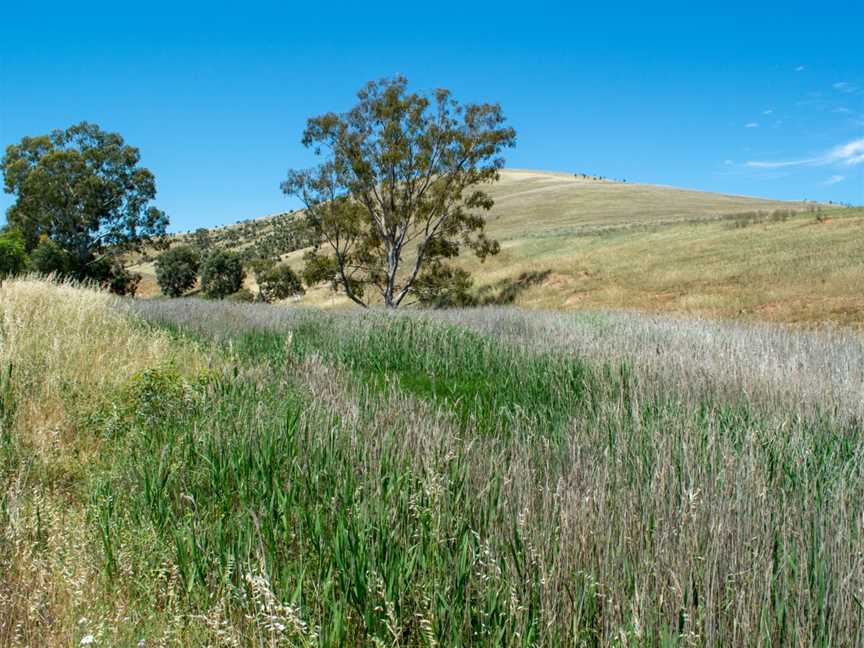 Woolshed-flat-creek.jpg