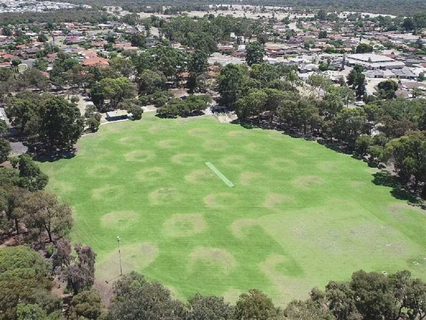 Alexander Heights Park