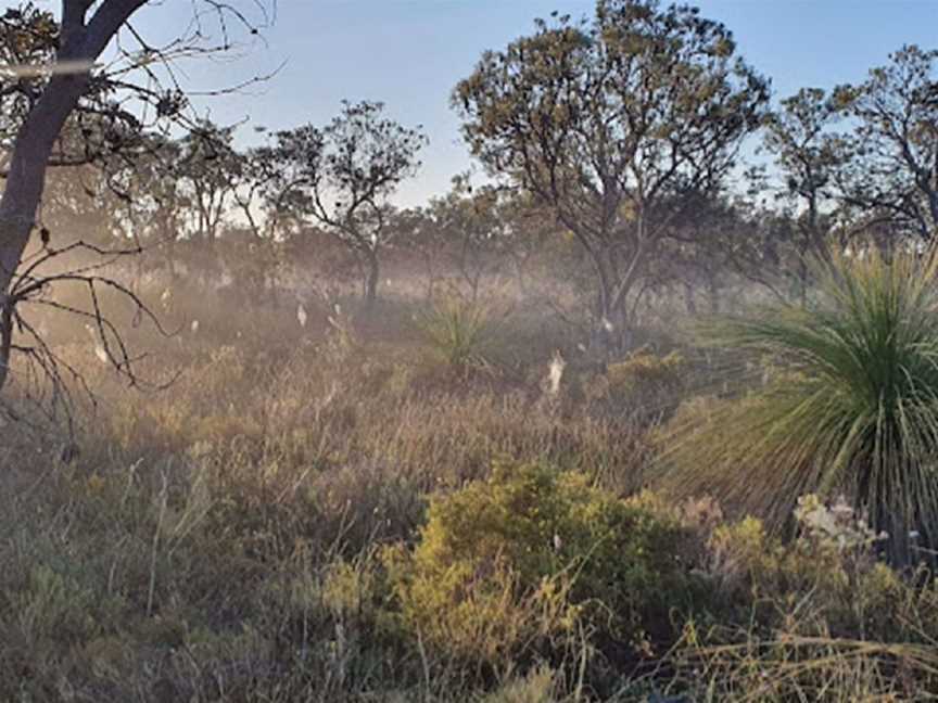 Darch - Landsdale Park